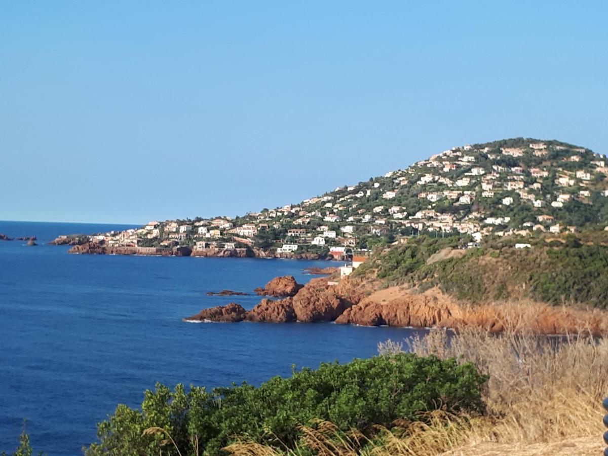 Frejus Plage T2, Piscine, Parking, Plages A 200M Kültér fotó