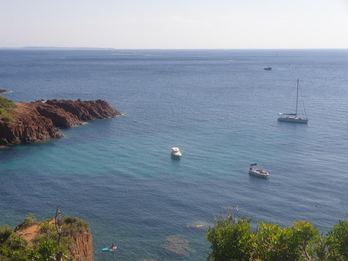 Frejus Plage T2, Piscine, Parking, Plages A 200M Kültér fotó